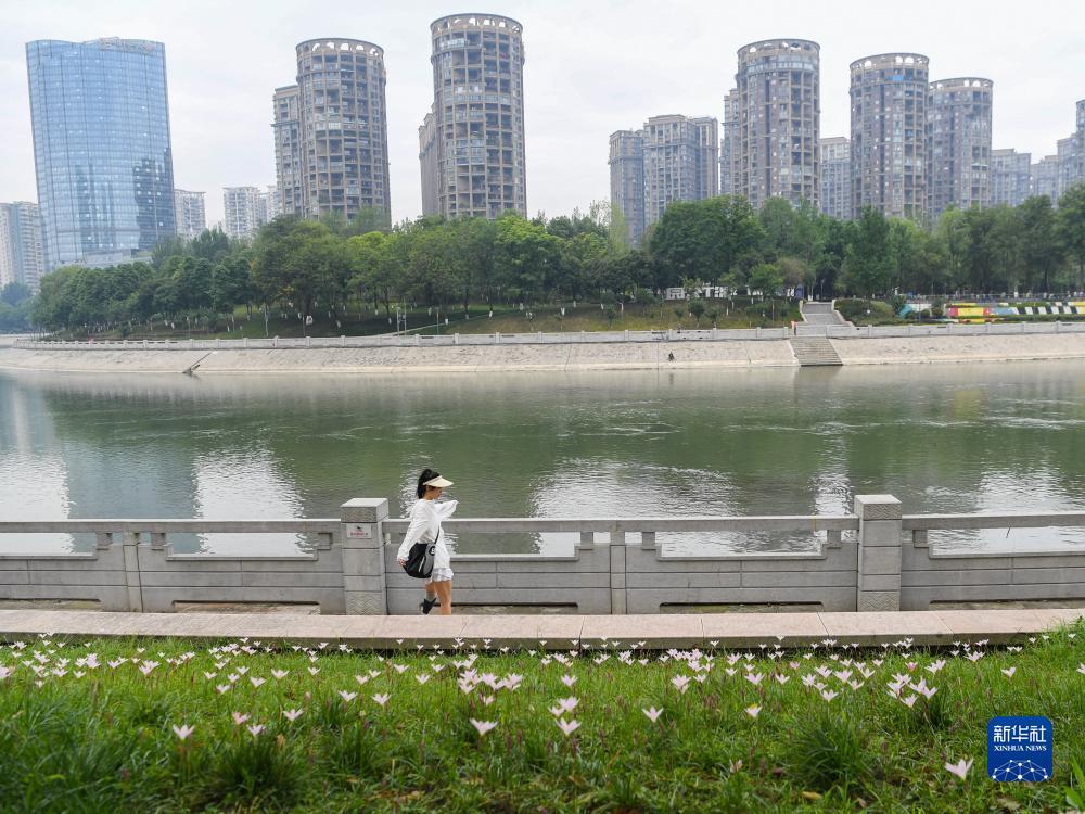 五龙争霸在线下载